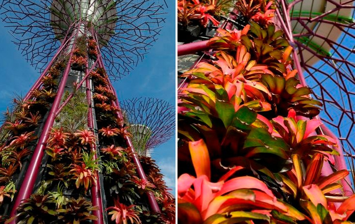 Gardens by the Bay / Grant Associates and Wilkinson Eyre Architects