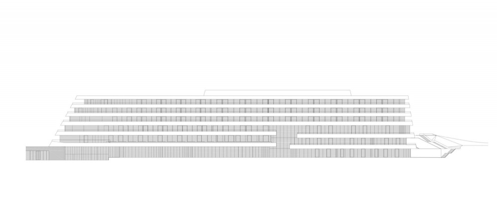 Lone Hotel / 3LHD