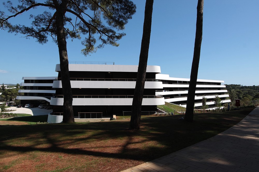 Lone Hotel / 3LHD