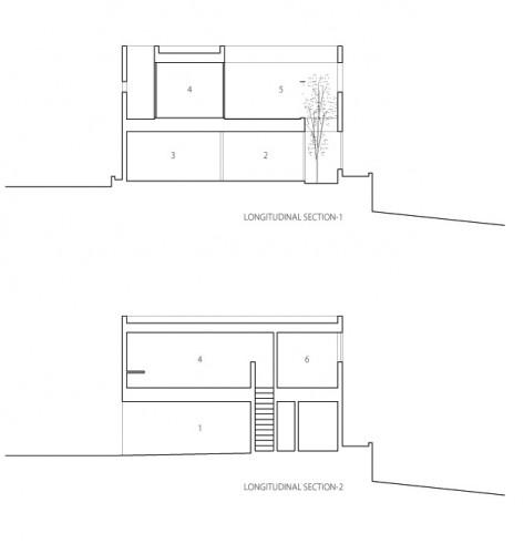 Longitudinal Sections