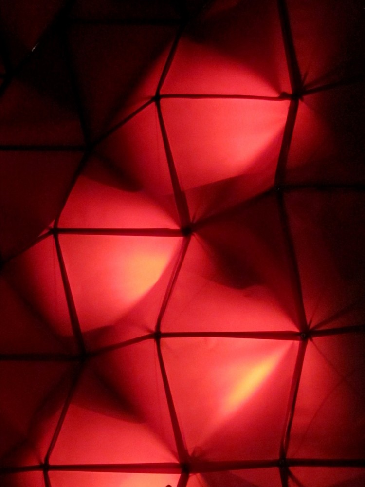 Party Animal / LIKEarchitects