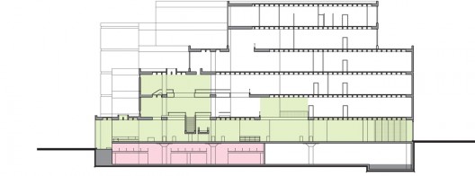 section