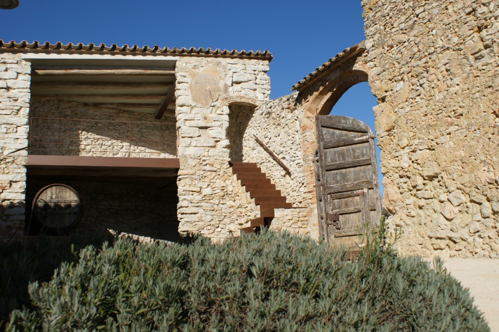 Spring in Pantone 375C, Mas Rodó Winery / SALA FERUSIC Architects (12) © SALA FERUSIC Architects