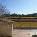 Spring in Pantone 375C, Mas Rodó Winery / SALA FERUSIC Architects (11) © SALA FERUSIC Architects