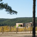 Spring in Pantone 375C, Mas Rodó Winery / SALA FERUSIC Architects (6) © SALA FERUSIC Architects