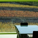 Spring in Pantone 375C, Mas Rodó Winery / SALA FERUSIC Architects (5) © SALA FERUSIC Architects