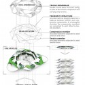 Helios Rehab Sanctuary [Solar + Healing] / Team CLS (8) Tensegrity Network