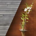 Kona Residence / Belzberg Architects (17) Kona Residence / Belzberg Architects (17) © Benny Chan (Fotoworks)
