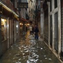 Venice: City in Peril Venice: City in Peril flooded ally, Photo by dvdqueenan - http://www.flickr.com/photos/dvdqueenan/