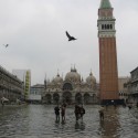 Venice: City in Peril Venice: City in Peril annual flooding, Photo by gwenflickr - http://www.flickr.com/photos/piaser/