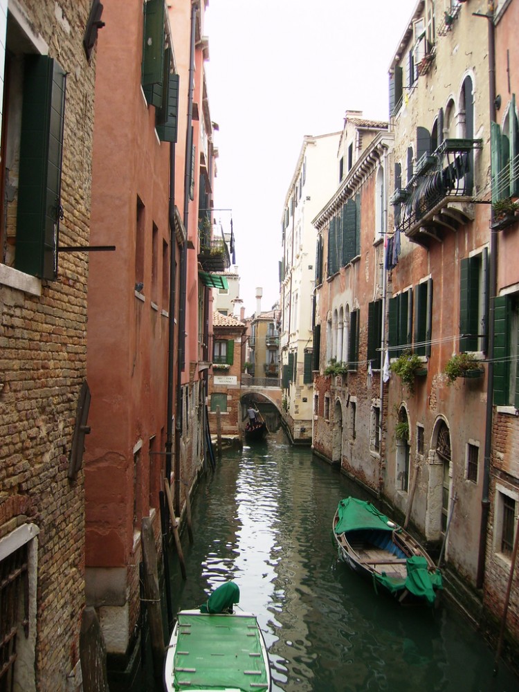 Venice: City in Peril