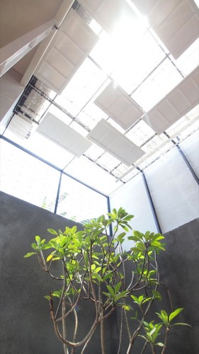 Cage House / Parametr Architecture (2)