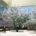 The Barnes Foundation on the Parkway / Tod Williams + Billie Tsien (1) © The Barnes Foundation