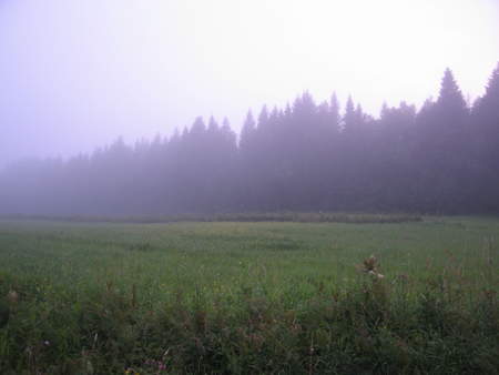 'Clear Cut' Land Art Installation (3)