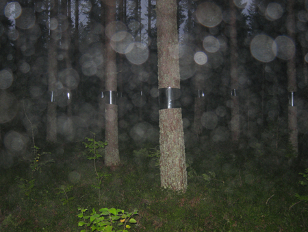 'Clear Cut' Land Art Installation (2)