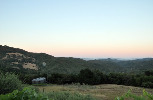 Sonoma Barn / Michael Hennessey Architecture (4)