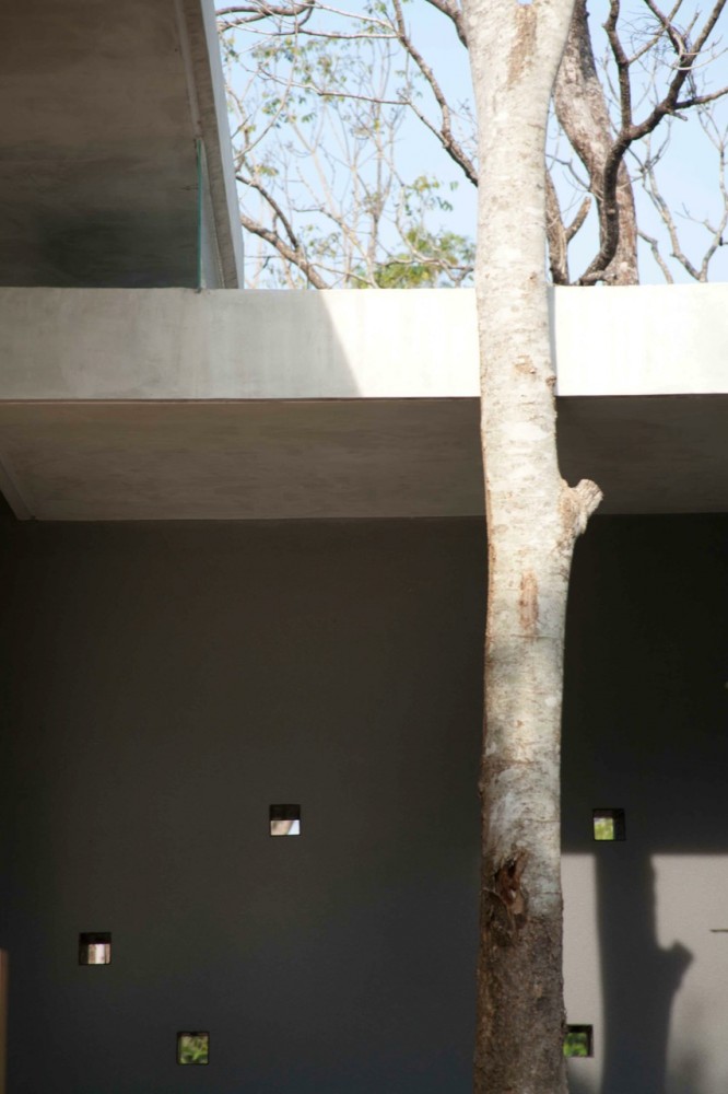 Lake House / Openbox Company