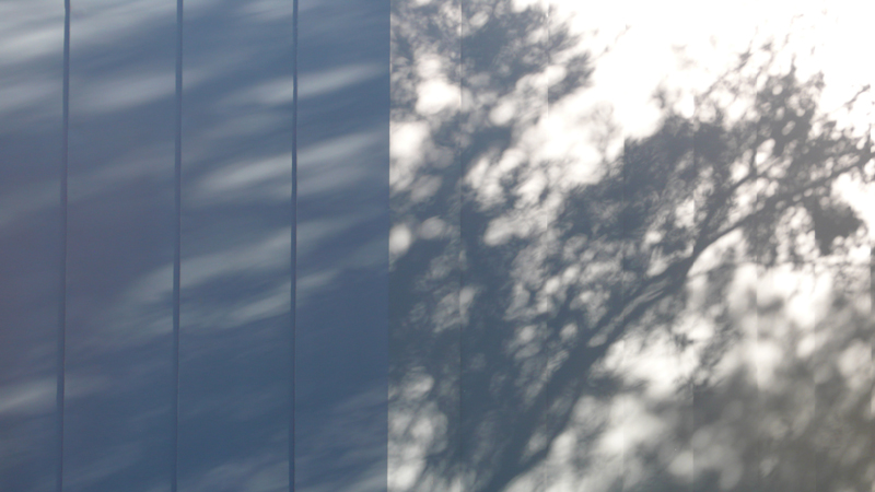 Pavilion in the Woods / Parque Humano