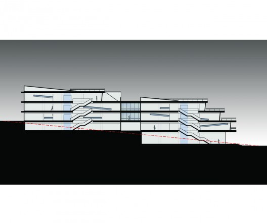 section