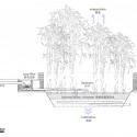 Section Section