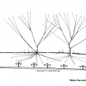 Cesar Chavez Regional Library / Line and Space (17) Concept Water Condensation Diagram