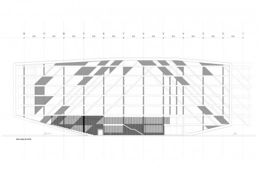 Longitudinal Section