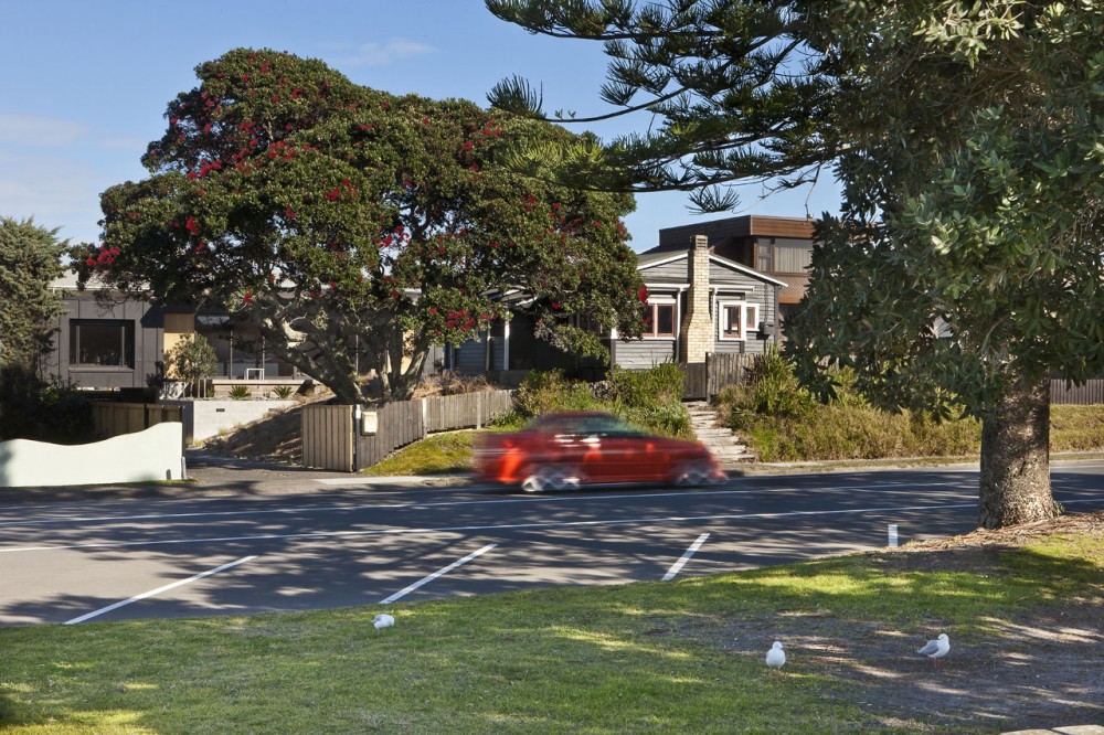 Screened by Pohutukawa / Architecture Bureau