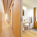 Screened by Pohutukawa / Architecture Bureau (10) © Kjell Nilsson