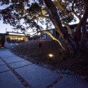Screened by Pohutukawa / Architecture Bureau (4) © Kjell Nilsson