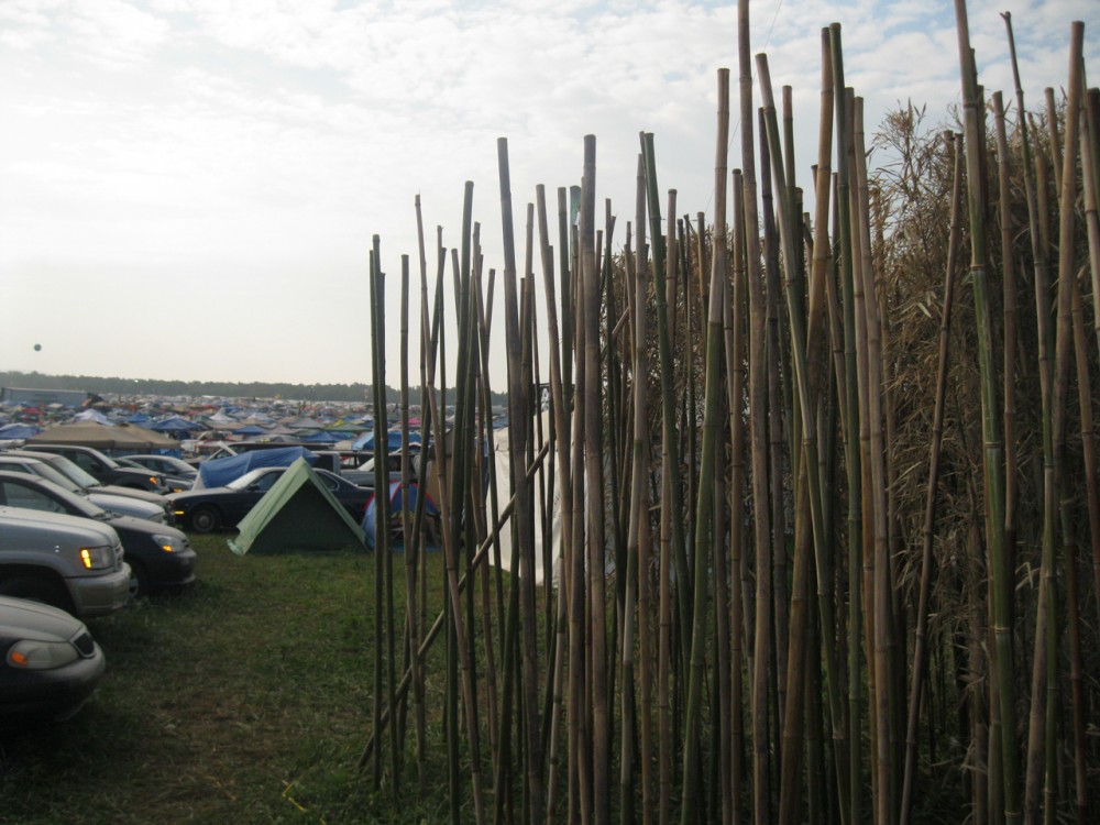“Thicket” – Installation / Sanders Pace Architecture