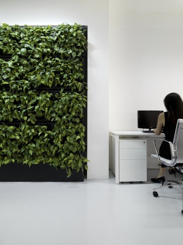 158 Cecil Street / Park+Associates (2)