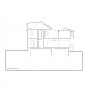 Longitudinal Section Longitudinal Section
