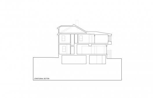 Longitudinal Section