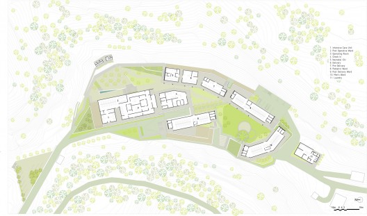 Site Plan: Upper