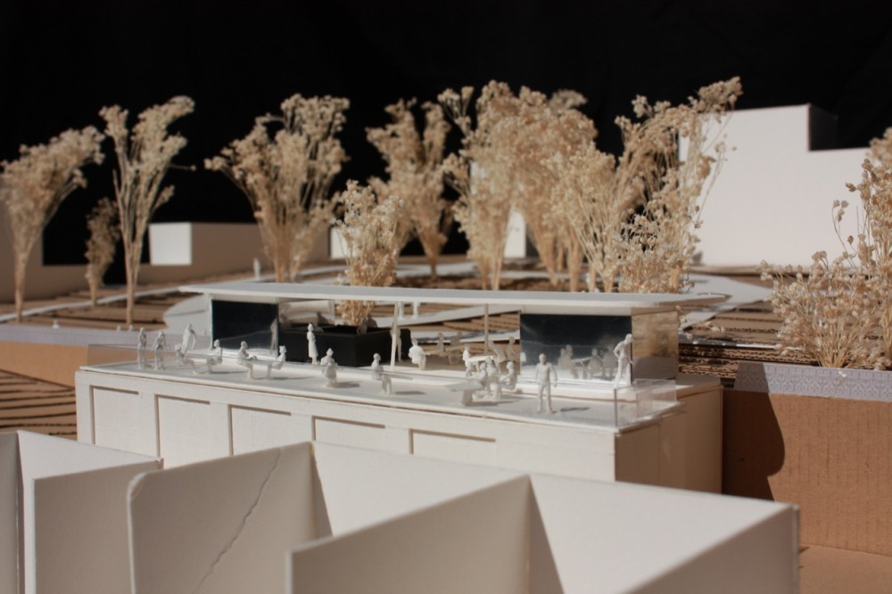 The 9 April Garden / aspa