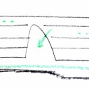 Section Section
