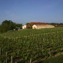 Chateau Barde-Haut Winery / Nadau Lavergne Architects (25) © Philippe Caumes