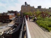 Highline, New York / Courtesy of IABR