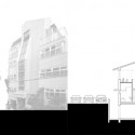 section section