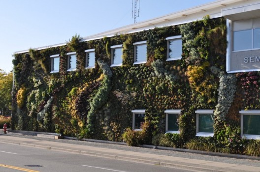 Buildings Sprout Living Walls by Green Over Grey (8)