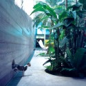 Slice House / Procter-Rihl Architects (4) Slice House / Procter-Rihl Architects (4) © Sue Barr