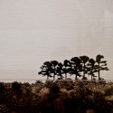 Theo Jansen Exhibition: The Beach Animal That Eats Wind / Theo Jansen with Earthscape (17) © Earthscape/Yusuke Komatsu