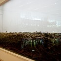 Theo Jansen Exhibition: The Beach Animal That Eats Wind / Theo Jansen with Earthscape (15) © Earthscape/Yusuke Komatsu