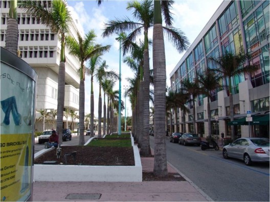 1111 Lincoln Road / Raymond Jungles (18)