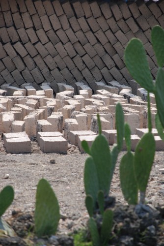 Young Architects Create 'Adobe for Women Association' (10)