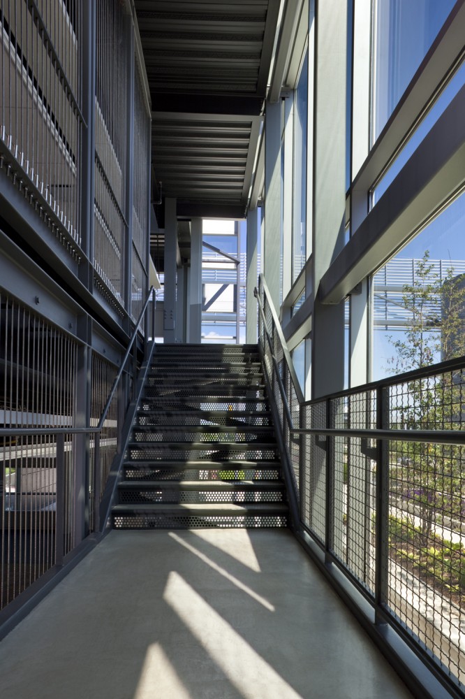 College of DuPage Technology Education Center / DeStefano Partners