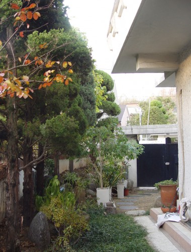 zeep-soori of Professor Kim’s House / Moohoi Architecture (16)