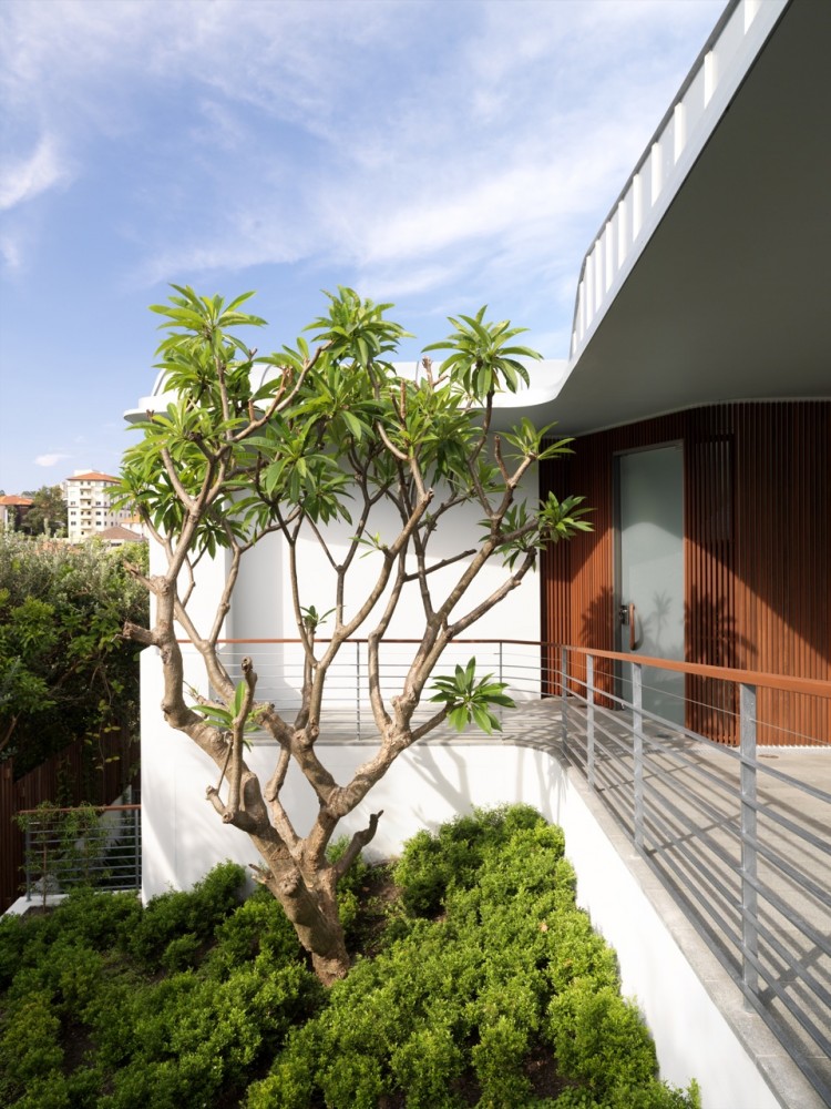 Elamang Avenue / Luigi Rosselli
