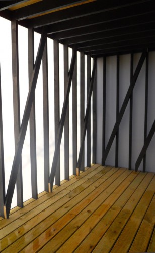 polypod / Bradley Edwards (7)