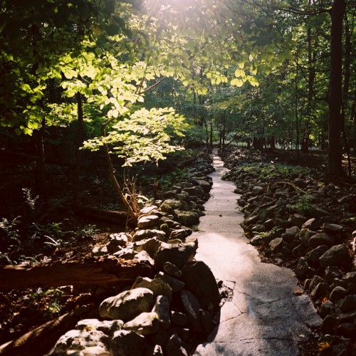 Stone River / Jon Piasecki (1)